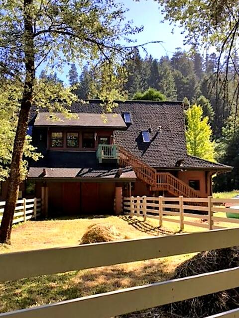 Adjacent to Redwood National Park