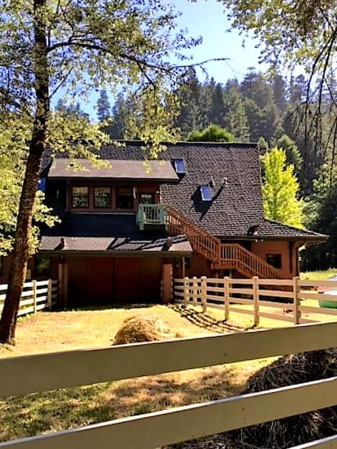 Adjacent to Redwood National Park