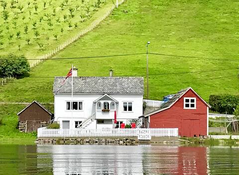 Cottage by the fjord, Ulvik, Hardanger, Norway