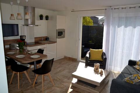 Pleasant apartment with full center terrace