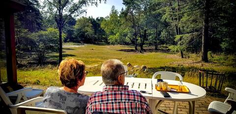 De Weeser Enk: Villa with private estate in Epe