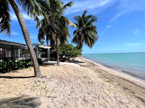 PR Rental Paradise Beach Front House