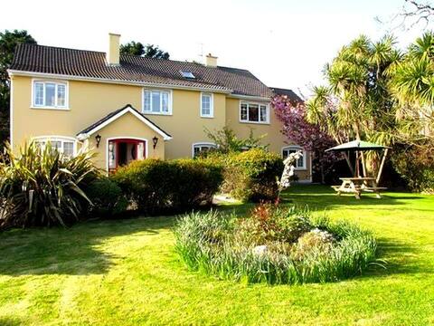 Ashe's 7 bedrooms Townhouse, Dingle Town Centre.