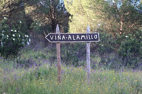 Alamillo rural accommodation