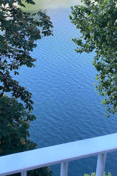 “Face to face with the Seine” on the outskirts of Paris