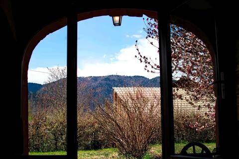 Vosges farmhouse with spa and mountain views