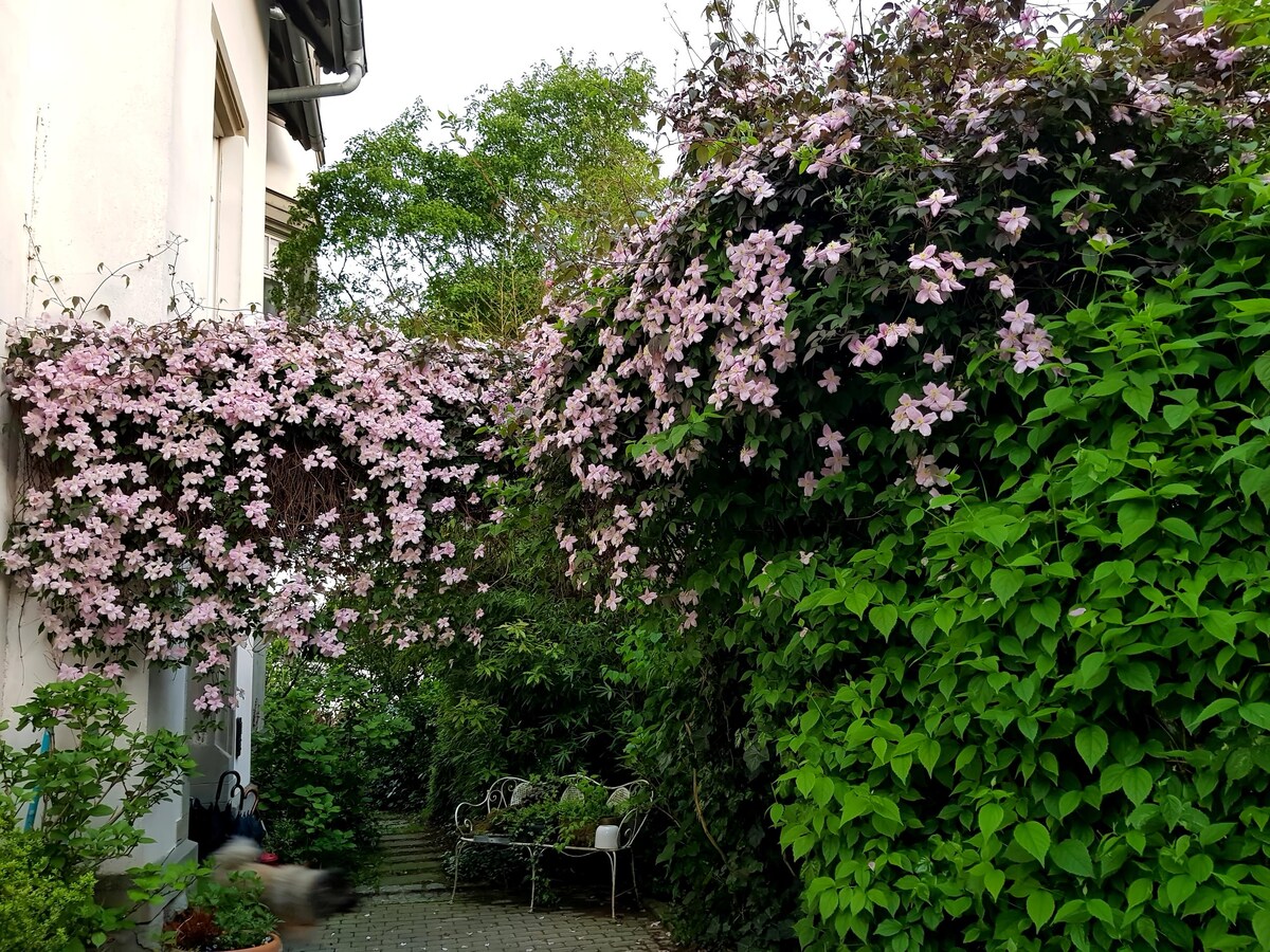 Annuncio Airbnb popolare: Apartment in Art Nouveau villa with garden use a Überlingen