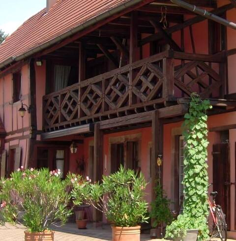 Charming and tranquil Alsatian house