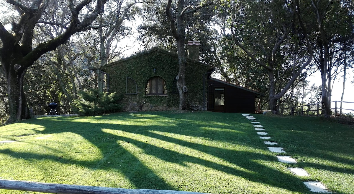 Airbnb performant: house in the woods with jacuzzi à Castagneto Carducci