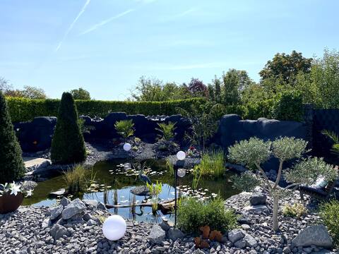 Haus Tropica Eifel Mosel included. Gym and hot tub