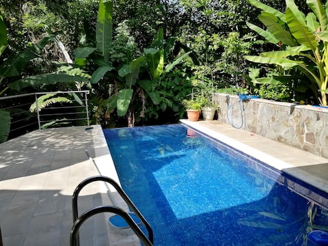 Little Jungle Paradise