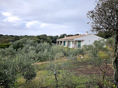 10 Acre Private Eco Retreat | Olive Groves | Free Pets | BBQ | Smart TV