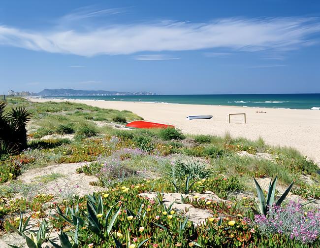 Annonce Airbnb populaire: Beautiful apartment 3 km from the beach à Xeraco