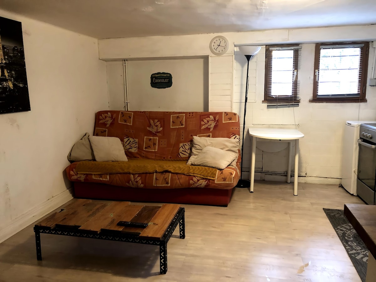 Airbnb performant: Ground floor apartment of a pavilion à Tremblay En France