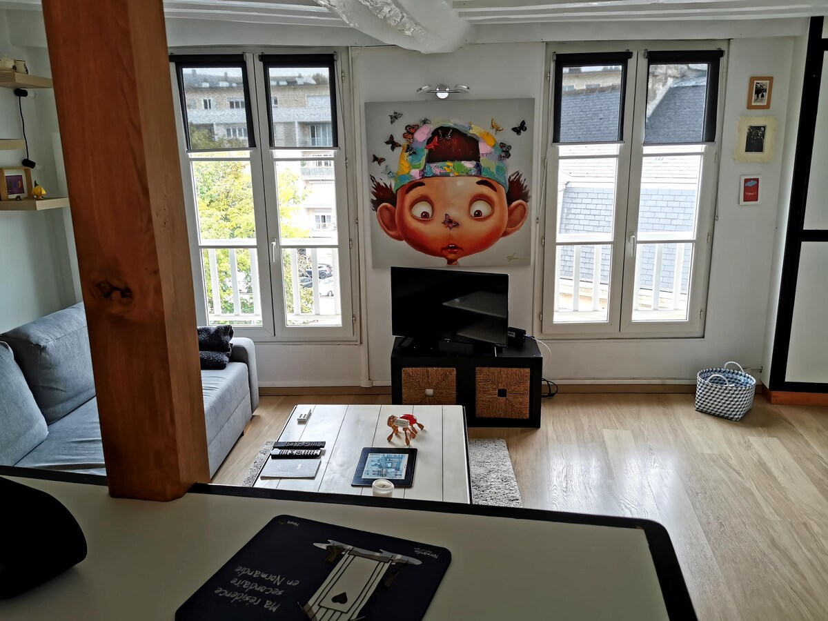 Top Airbnb: Duplex with 1 bedroom in the heart of Caen in Caen