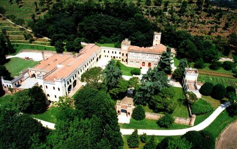 Ulivi - Stunning ancient Castle with heated pool