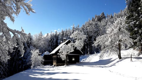 Idyllic, family-friendly mountain cabin "Seidl"