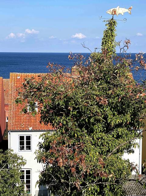 Charming townhouse in Gudhjem