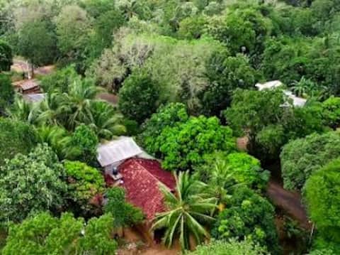 Peaceful Sigiriya Guesthouse (Villa)
