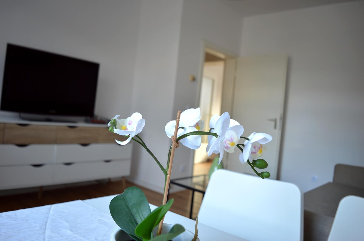 Top Airbnb: Rüttenscheid, Messe, Uni, Central Station. in Südviertel