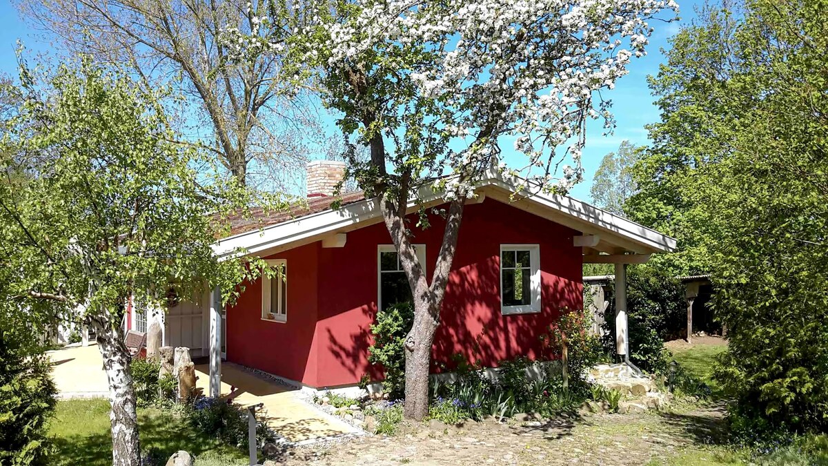 Top Airbnb: Holiday home with sauna incl. Parking on the Baltic Sea a Ribnitz Damgarten