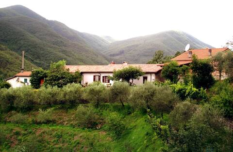 Agriturismo il Giglio e la Rosa