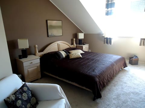 APARTMENT overlooking the Danube river