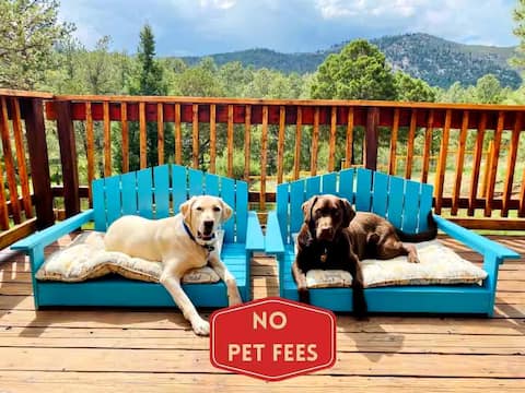 Fenced Yard, King bed, Views, Dogs Welcome