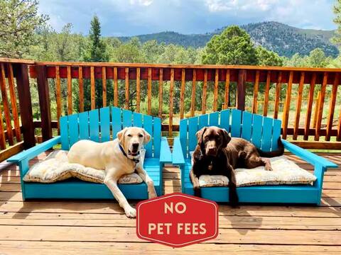 Fenced Yard, King bed, Views, Dogs Welcome
