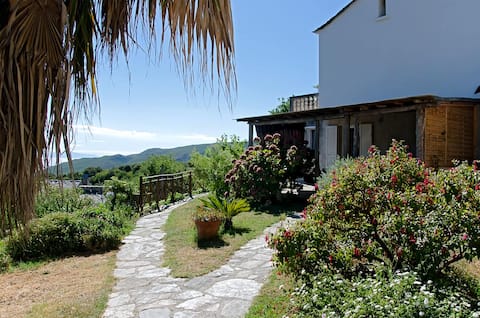 cottage in the heart of Cap Corse