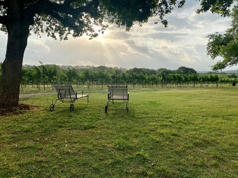 Gorgeous Vineyard Home in the middle of the Vines!