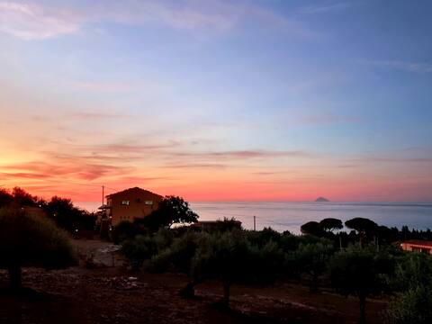 The FARM ON THE SEA - the woodshed