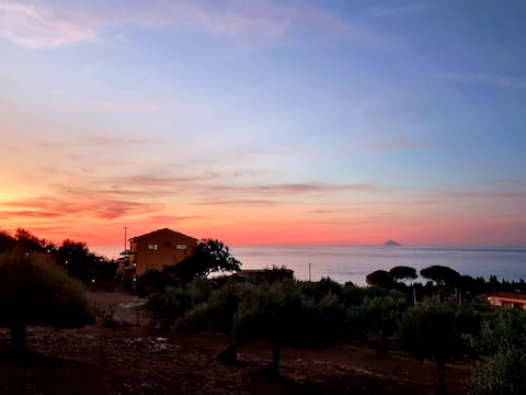 The FARM ON THE SEA - the woodshed