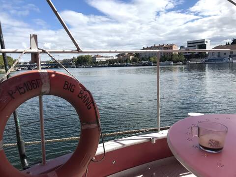 Atypical lovely apartment on Péniche in lyon
