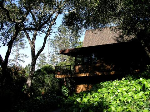 Santa Cruz area serene retreat, sleeps 8