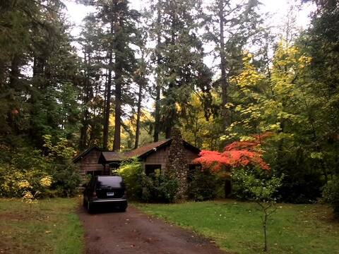 Classy Comfortable Close in Creekside Cabin