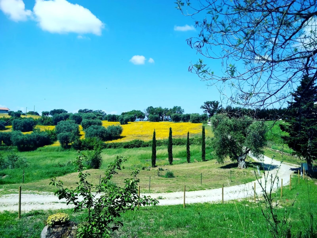 Successful Airbnb property: Poggio Bestiale Vacation Home in Magliano In Toscana