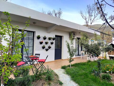 Vesile’s House