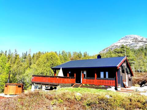 Cabin with panoramic view