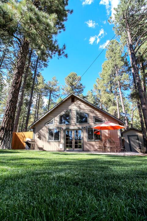 Beautiful Wooded Dream Cabin Backs Forest