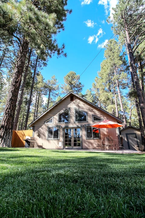 Beautiful Wooded Dream Cabin Backs Forest