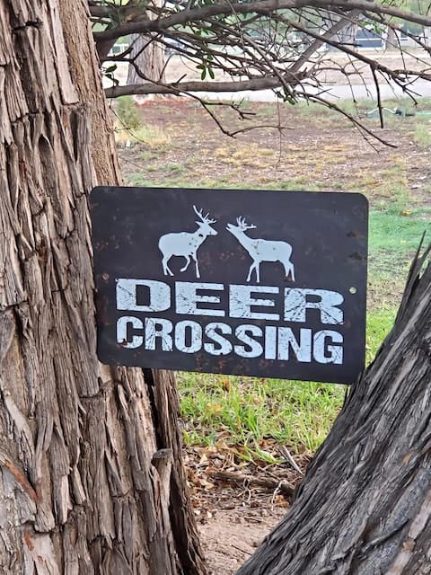 Deer Crossing