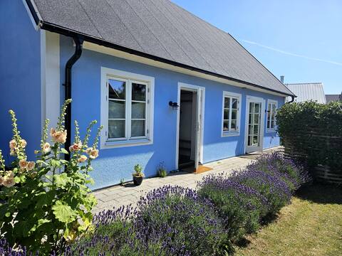 Charming house near the sea in Brantevik