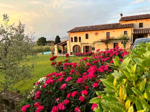 Podere ai Arrighi