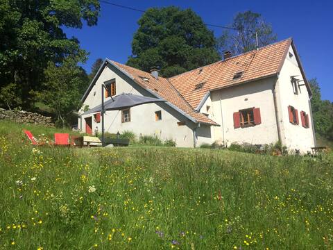 Ferme " Les Primevères du Hilsen"