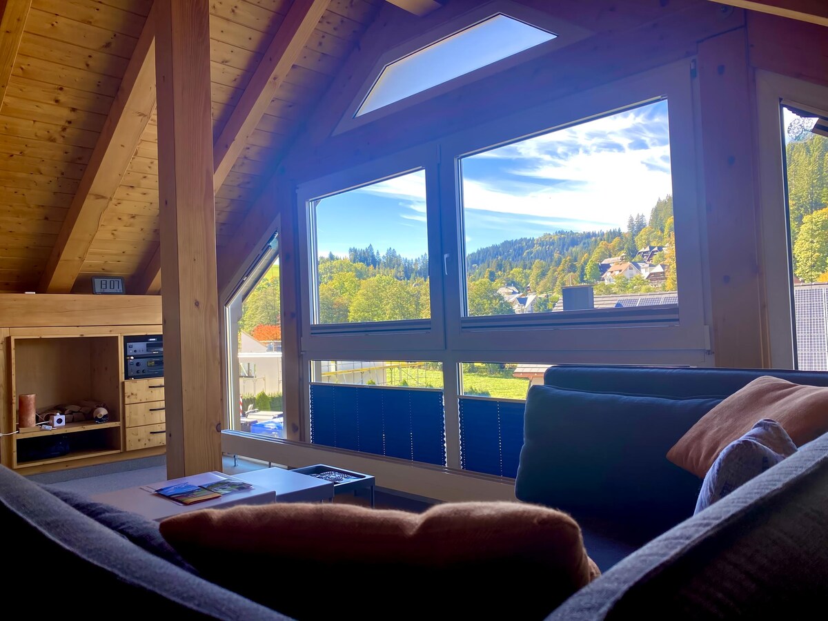 Airbnb con migliori performance: Quiet location: 2 rooms with a view, fireplace, terrace a Hinterzarten