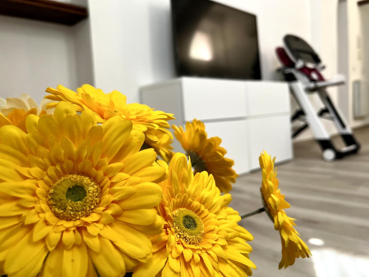 Successful Airbnb property: Ale's house in the historic centre of Cagliari in Cagliari