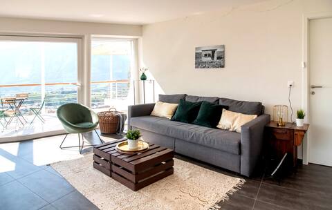 Modern flat : view on the vineyard & Sierre