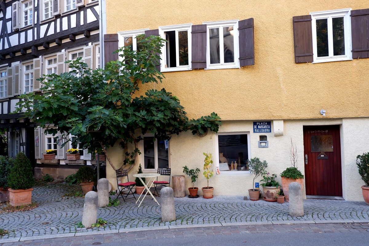 Annuncio Airbnb popolare: Quiet location - and yet in the middle of the old town! a Tübingen