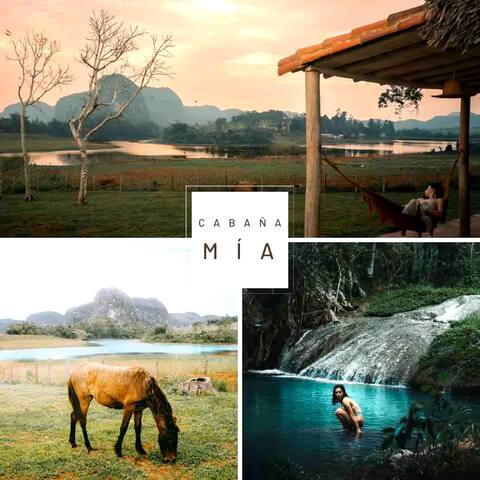 Unlike anything else: Cabaña Mía